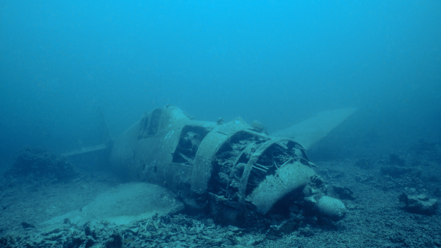 A WWII plane wreck siting at the bottom of the ocean.