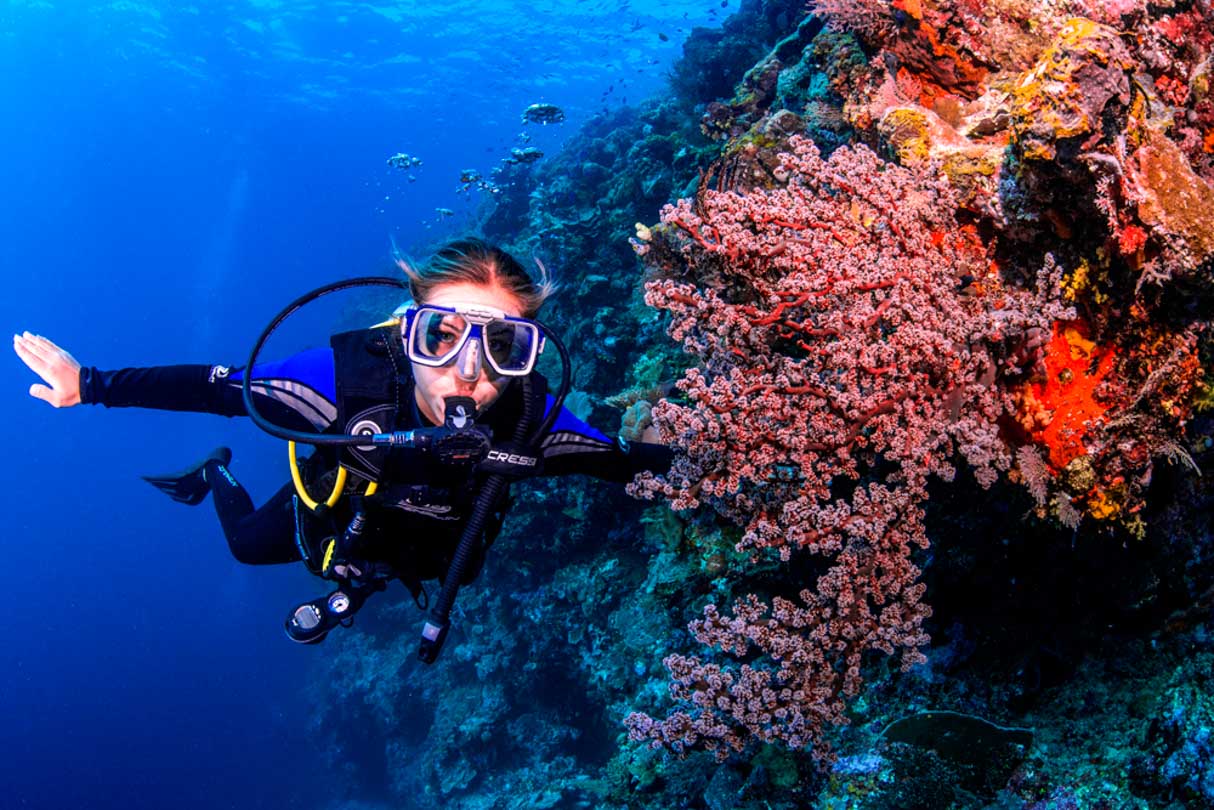 Diver lookinf at soft coral in the Conflict Islands, Papa New Guinea.