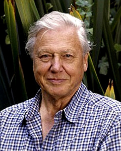 Sir David Attenborough has recommended Blue Ventures for the outstanding work it has and is doing.