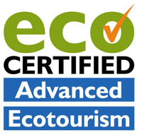 The Eco Certification for Advanced Ecotourism has been awarded to Lady Elliott Island for its environmental ongoing, actions.