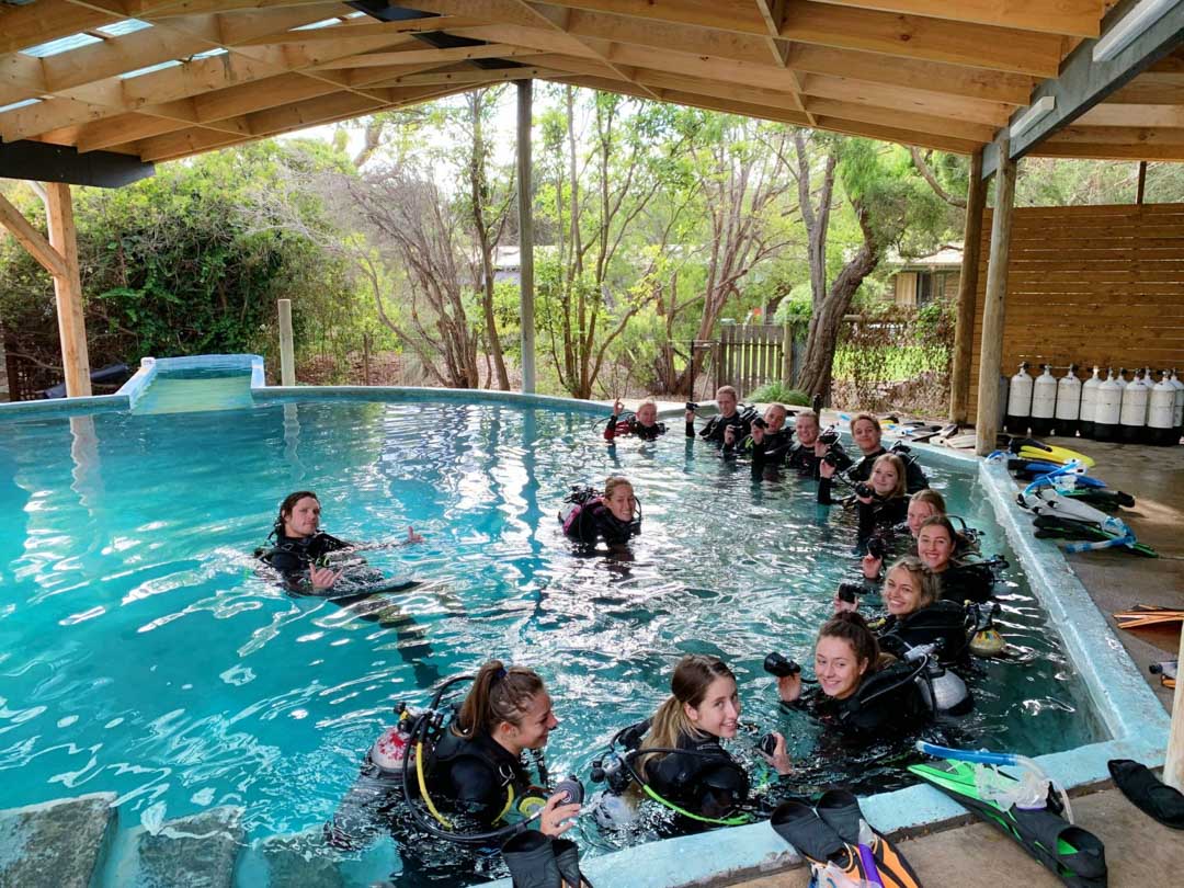 A group of learn to dive in the training pool from Bayplay dive centre, Portsea, Melbourne, Australia.